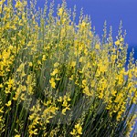 http://www.dreamstime.com/-image2980582
